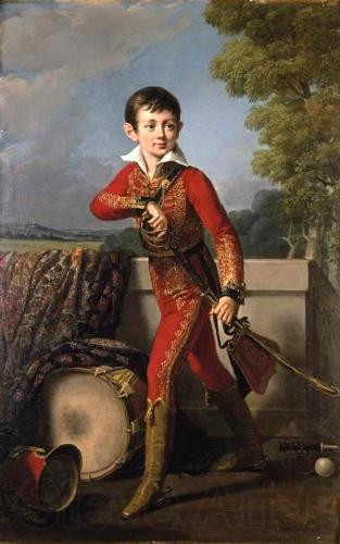 Robert Lefevre Portrait of Anatole Demidoff (1813-1870) Spain oil painting art